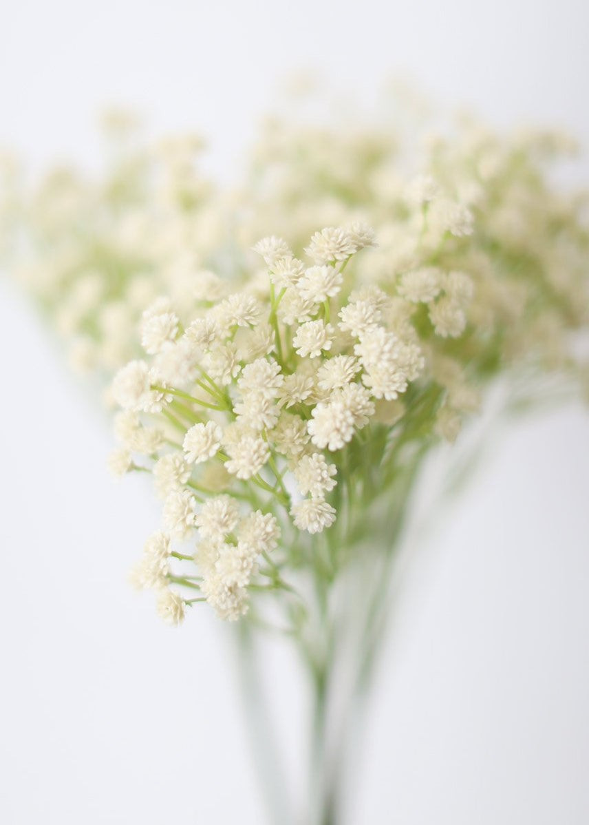 Real Touch Flowers Baby's Breath Bush in Beige Ivory | Afloral (US)