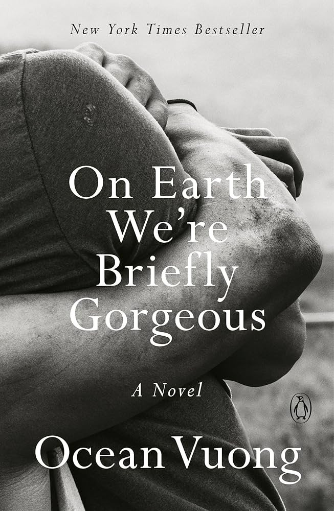 On Earth We're Briefly Gorgeous: A Novel | Amazon (US)