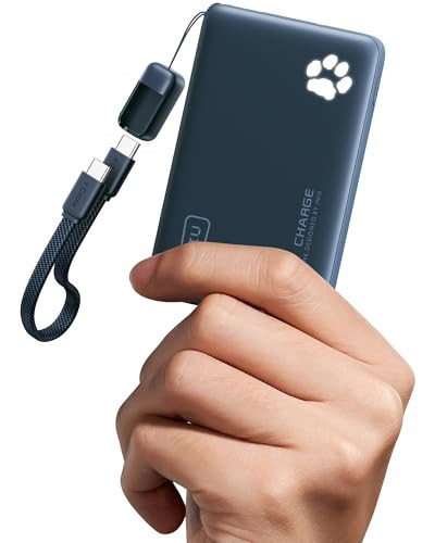 INIU 45W Fast Charging Portable Charger, Smaller 10000mAh Travel Power Bank | Amazon (US)