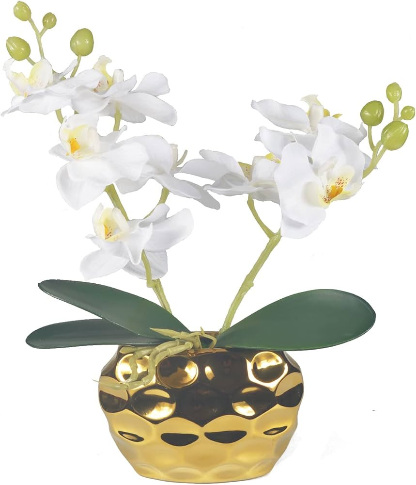 W&W Artificial Orchid Plants & Flowers Arrangement in Pot, Fake White Orchid with Gold Vase, Faux... | Amazon (US)