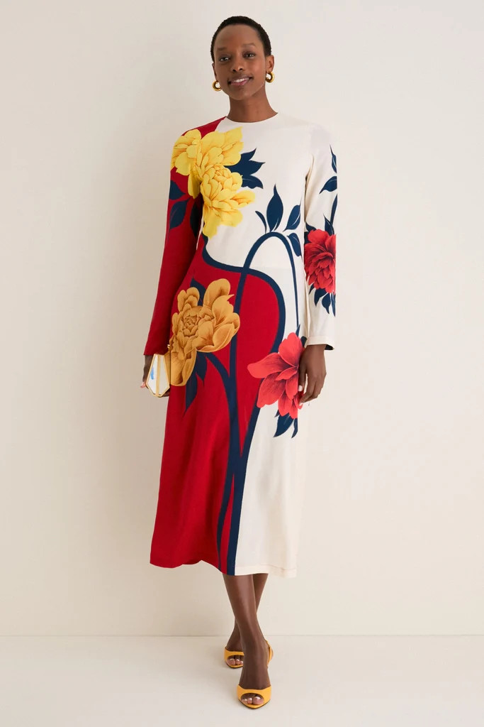 Queen Peony Placee Long Sleeve Swing Dress | Tuckernuck (US)