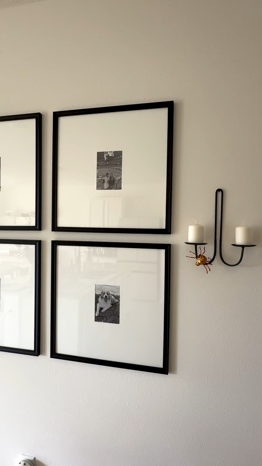 Love this gallery wall project! 

#gallerywall #pictureframes 

#LTKHome #LTKFindsUnder100