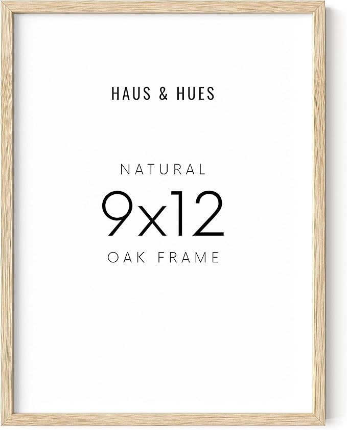 HAUS AND HUES 9x12 Picture Frame - 9 X 12 Frame Wooden Picture Frames for Crafts, 9x12 Frame Wood... | Amazon (US)