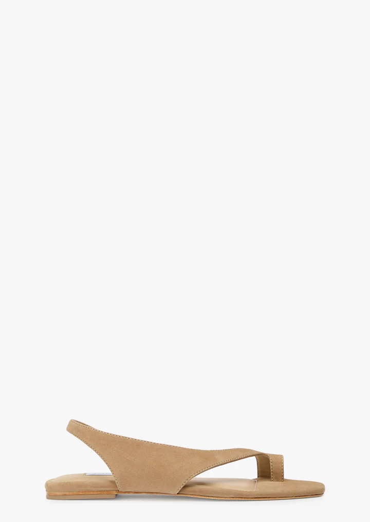 Roma Wheat Suede | Tony Bianco (Australia & New Zealand)