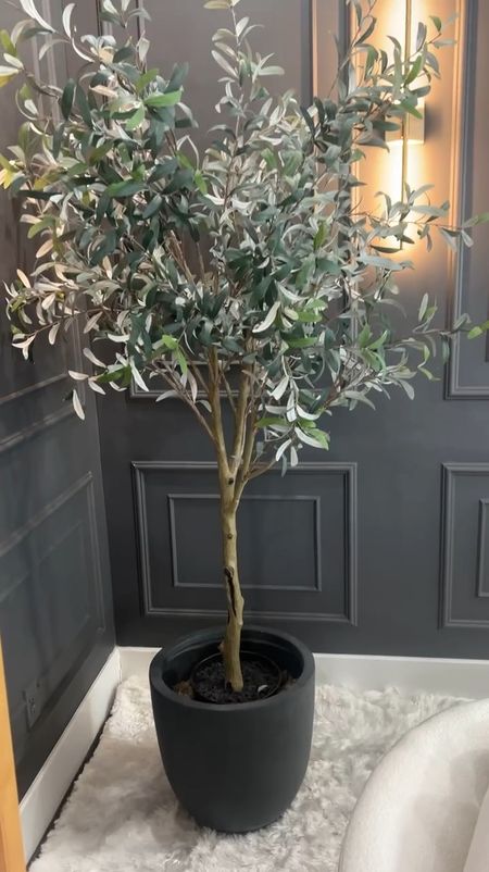 Our newest faux olive tree, comes in a couple sizes 

#LTKstyletip #LTKVideo #LTKhome
