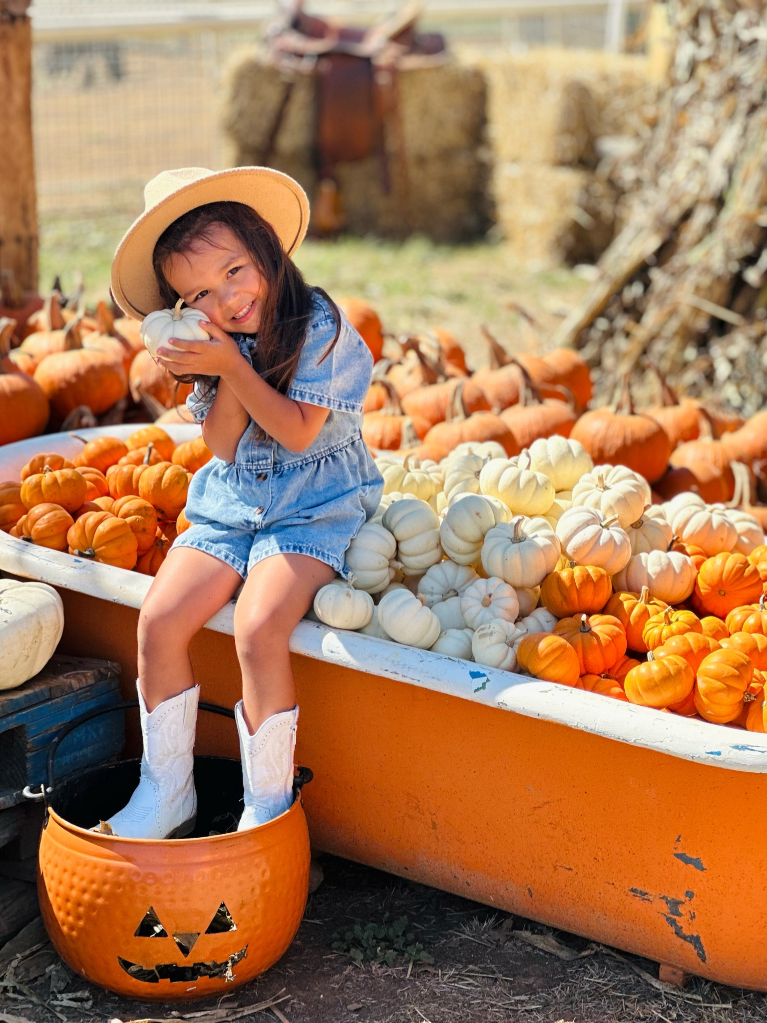 Cute as Pumpkin Pie 🎃 

#LTKSeasonal #LTKFindsUnder50 #LTKStyleTip