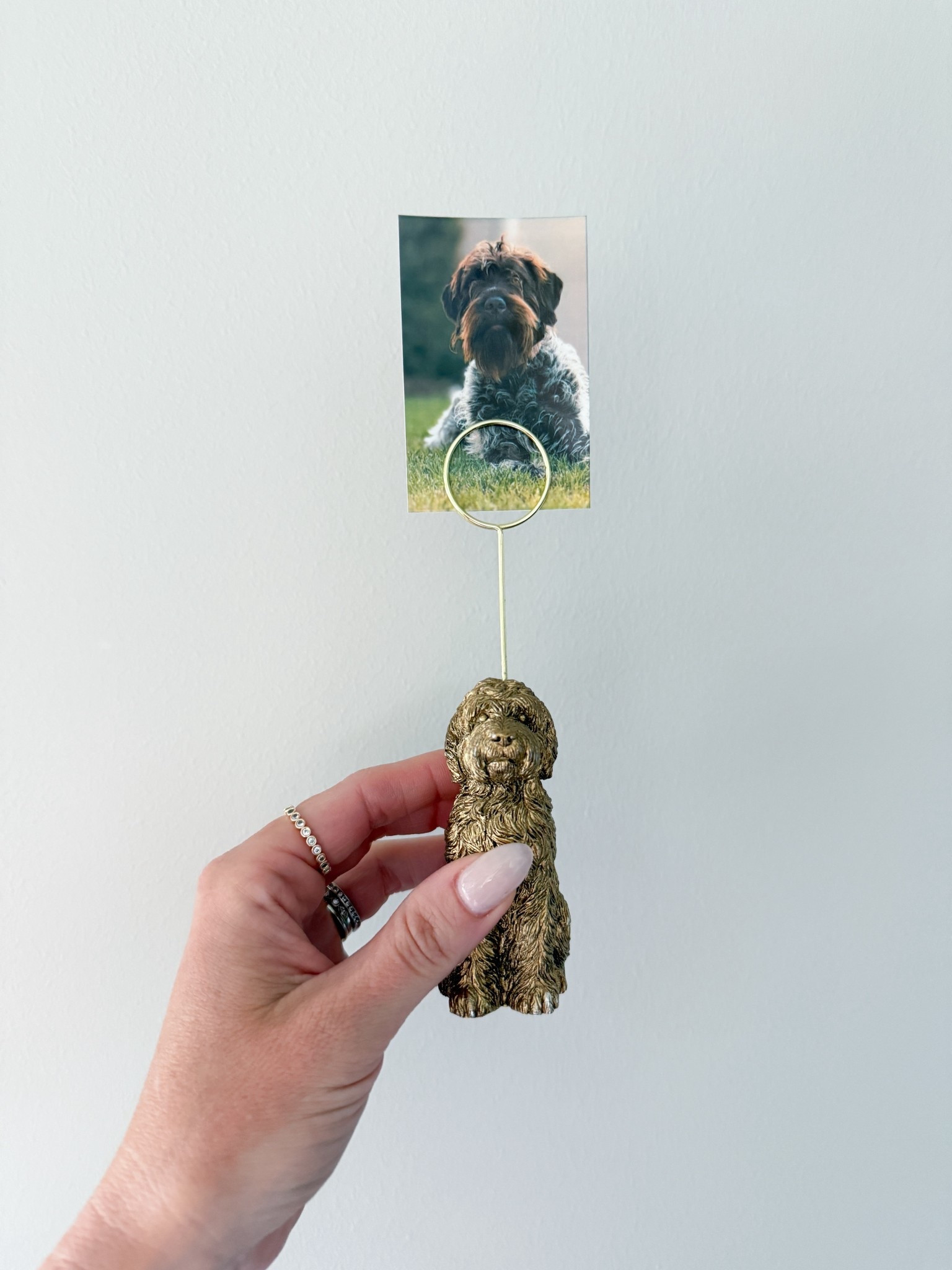 The Anthropologie brass pup photo holder just gets it. Perfectly holds Skadi in all her scruffy glory + adds charm to our home. It’s one of those little details that makes a space feel personal and sweet & yes, it comes in other dog breeds too!

anthropologie dog photo holder - brass puppy picture stand - cute photo display for pet lovers - gold dog figurine photo clip - dog breed photo holder - anthropologie home decor - dog shaped picture holder - gift for dog owners - whimsical pet photo display - unique dog decor - brass tabletop photo holder - personalized dog home decor - anthropologie puppy photo clip - picture frame - doodle gift

#LTKFamily #LTKHome #LTKPets