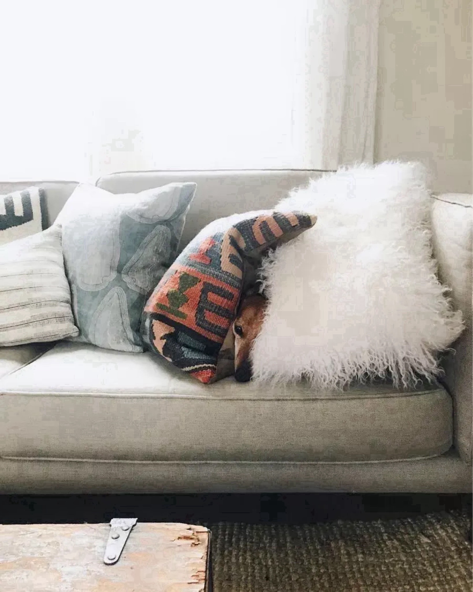 Decorative pillows are a great way to incorporate patterns and colors into your living space! You can pick different colors and prints based off the seasons! Linking some 

#LTKStyleTip #LTKHome #LTKSeasonal