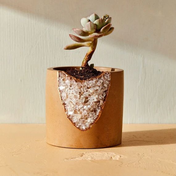 House of Harlow 1960 Creator Collab  Geode Planter small | Etsy | Etsy (US)