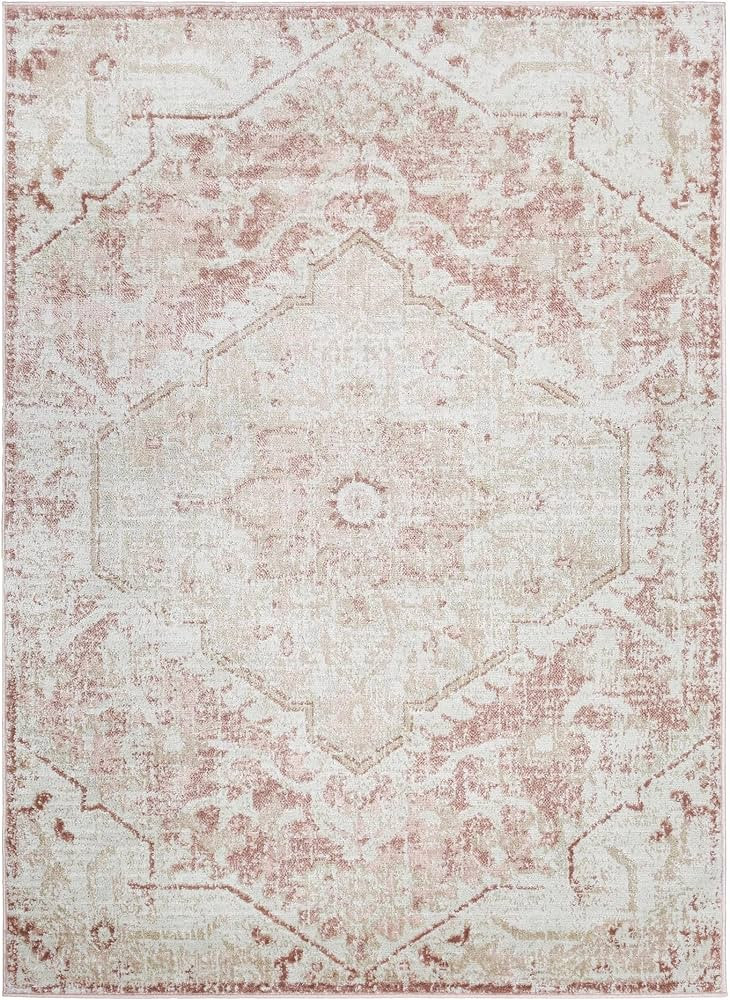 Leonora Persian Oriental 5'2" x 7' Living Room Bedroom Boho Area Rug - Bohemian Farmhouse Indoor Car | Amazon (US)