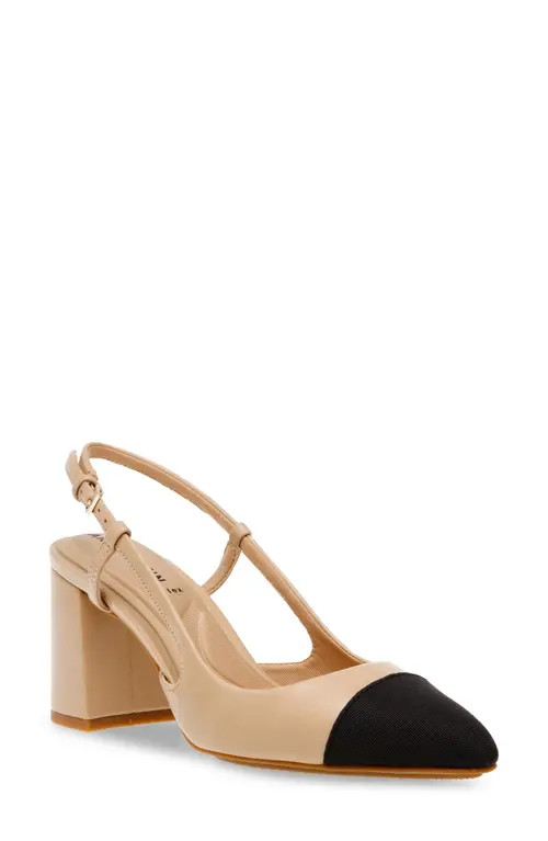 Anne Klein Brinlee Pointed Toe Pump in Nude/Black at Nordstrom, Size 9.5 | Nordstrom