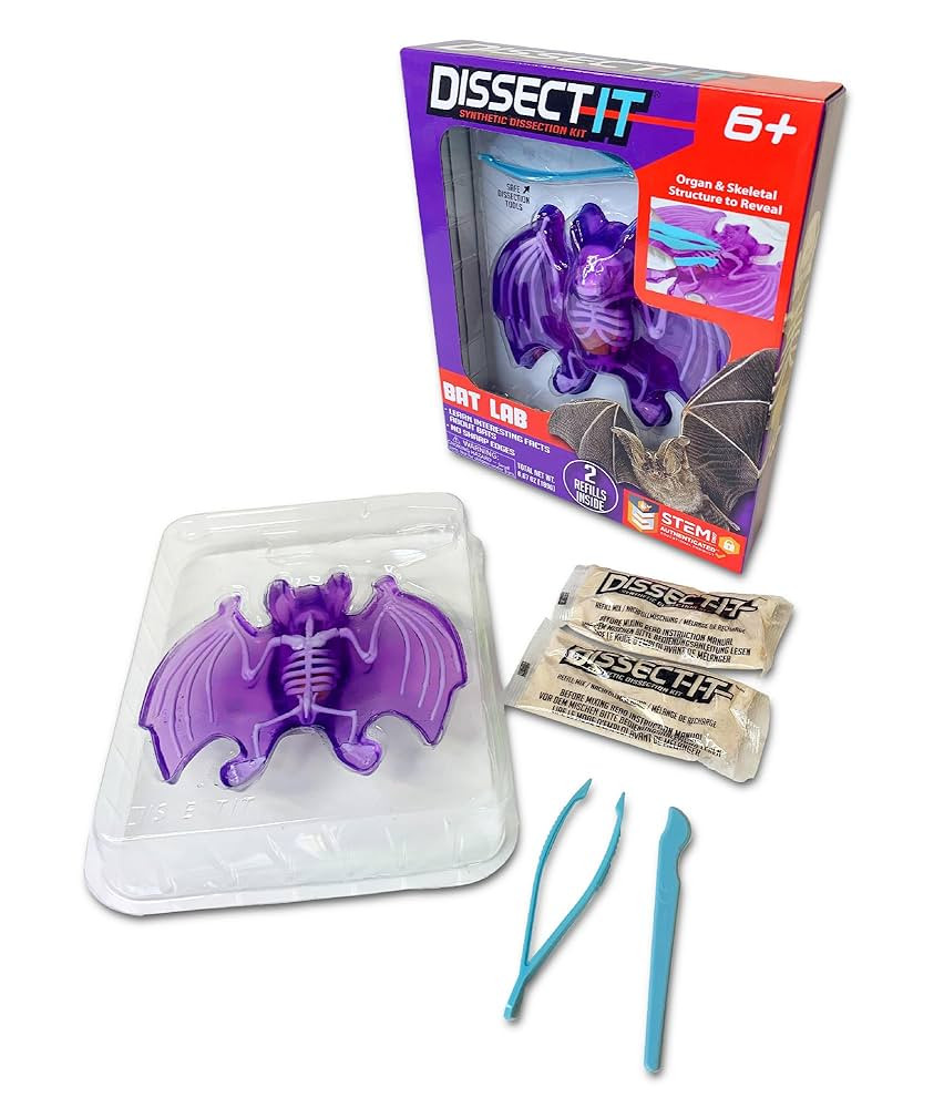 Dissect-It Simulated Synthetic Lab Dissection Toy, STEM Projects for Kids, Animal Science, Biolog... | Amazon (US)