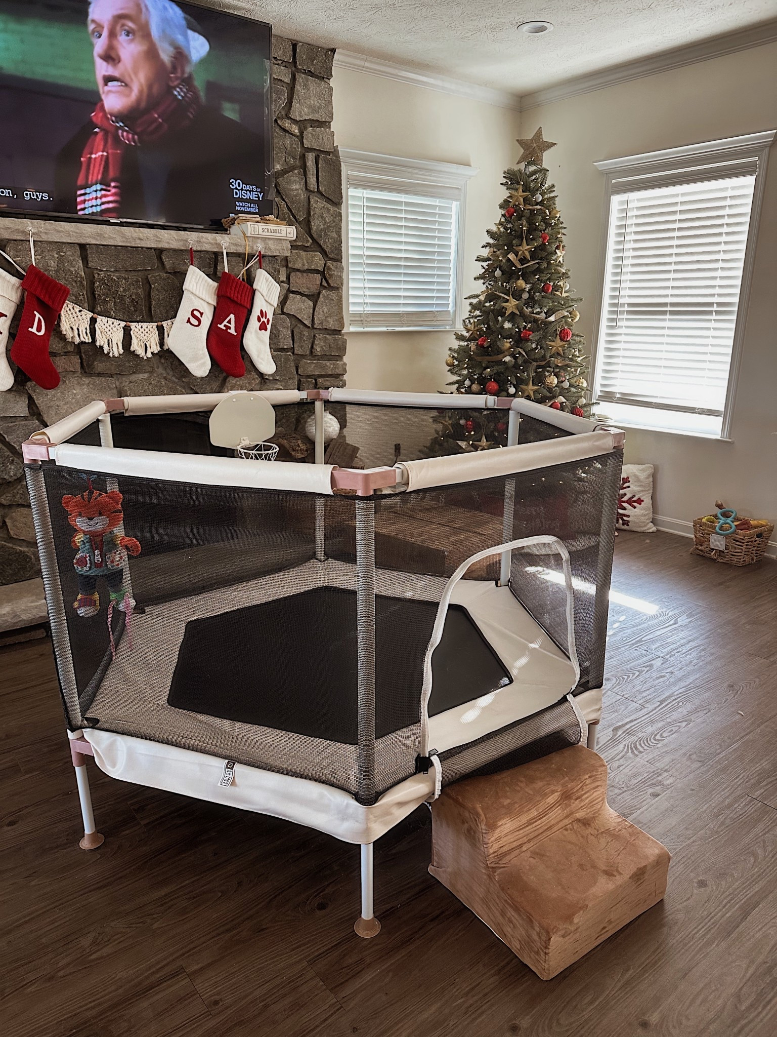 This toddler trampoline is worth every penny. Our son got it for his 1st birthday & is 14 months now and just loves it. I think it comes in 2 sizes, this is the larger one.

#LTKHoliday #LTKCyberWeek #LTKGiftGuide