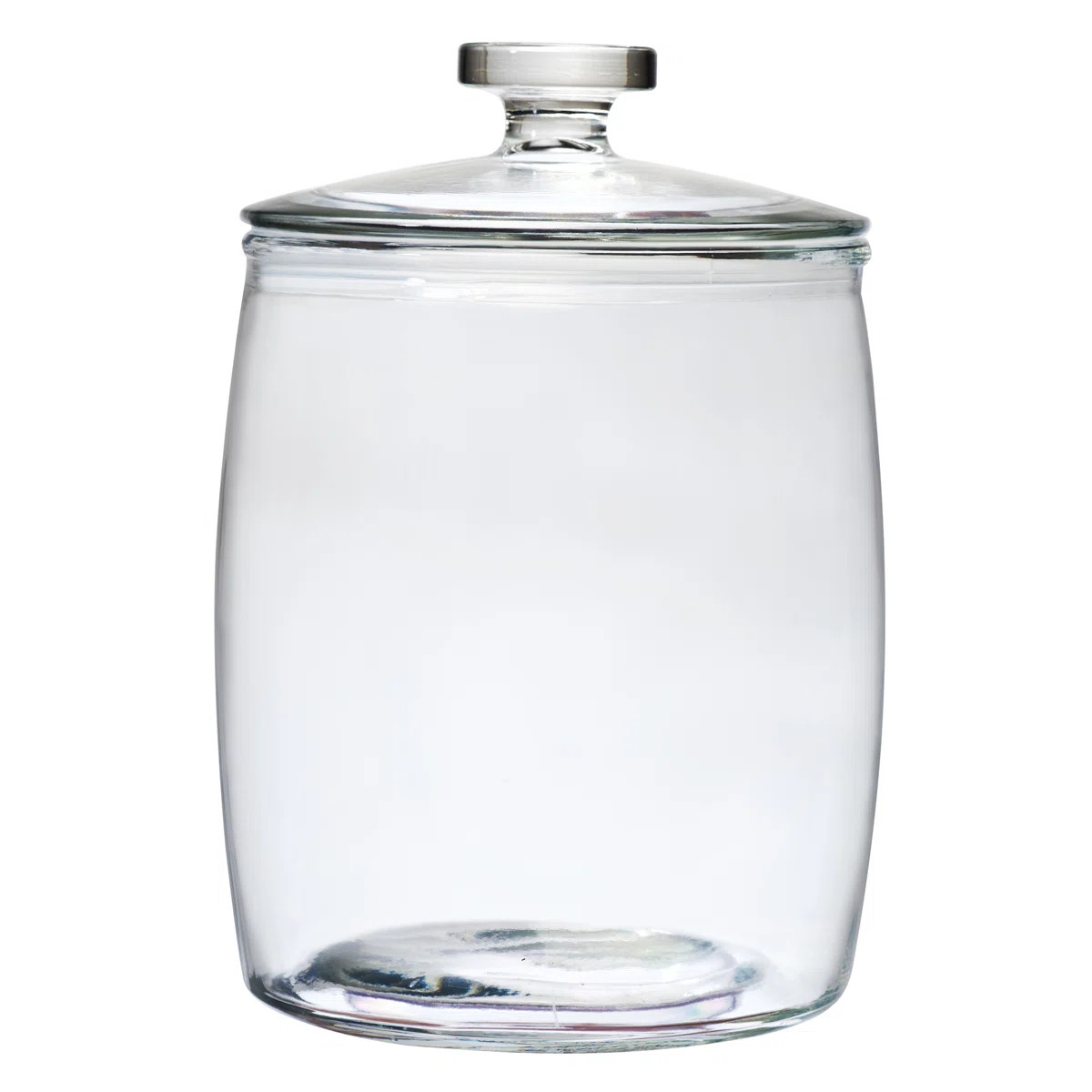 Arlo Glass Jar | Wayfair North America