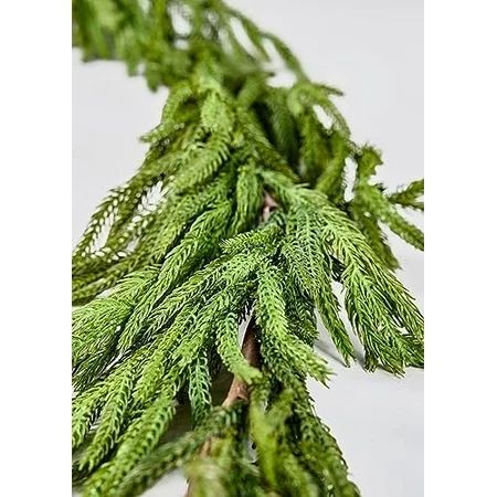 Real Norfolk Pine - 180 Long | Walmart (US)