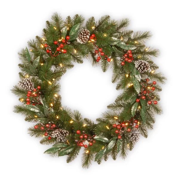 Frosted Berry 24" Lighted Wreath | Wayfair North America