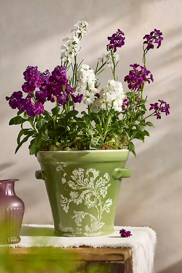 Botanical Silhouette Taper Planter | Anthropologie (US)