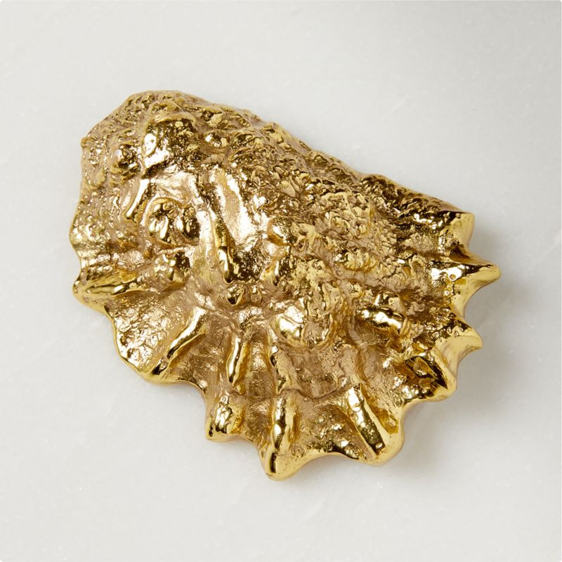 Mila Oyster Bottle Opener + Reviews | CB2 | CB2