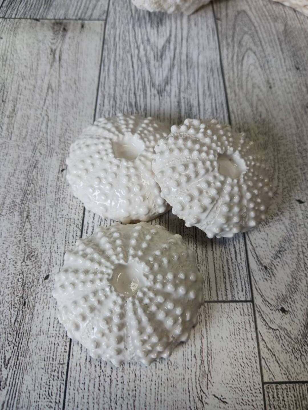 Mosaic Tiles,sea Urchins, Accent Tile, Handbuilt, Artistic, Mermaid Decor, Beach House,ocean, Set... | Etsy (US)