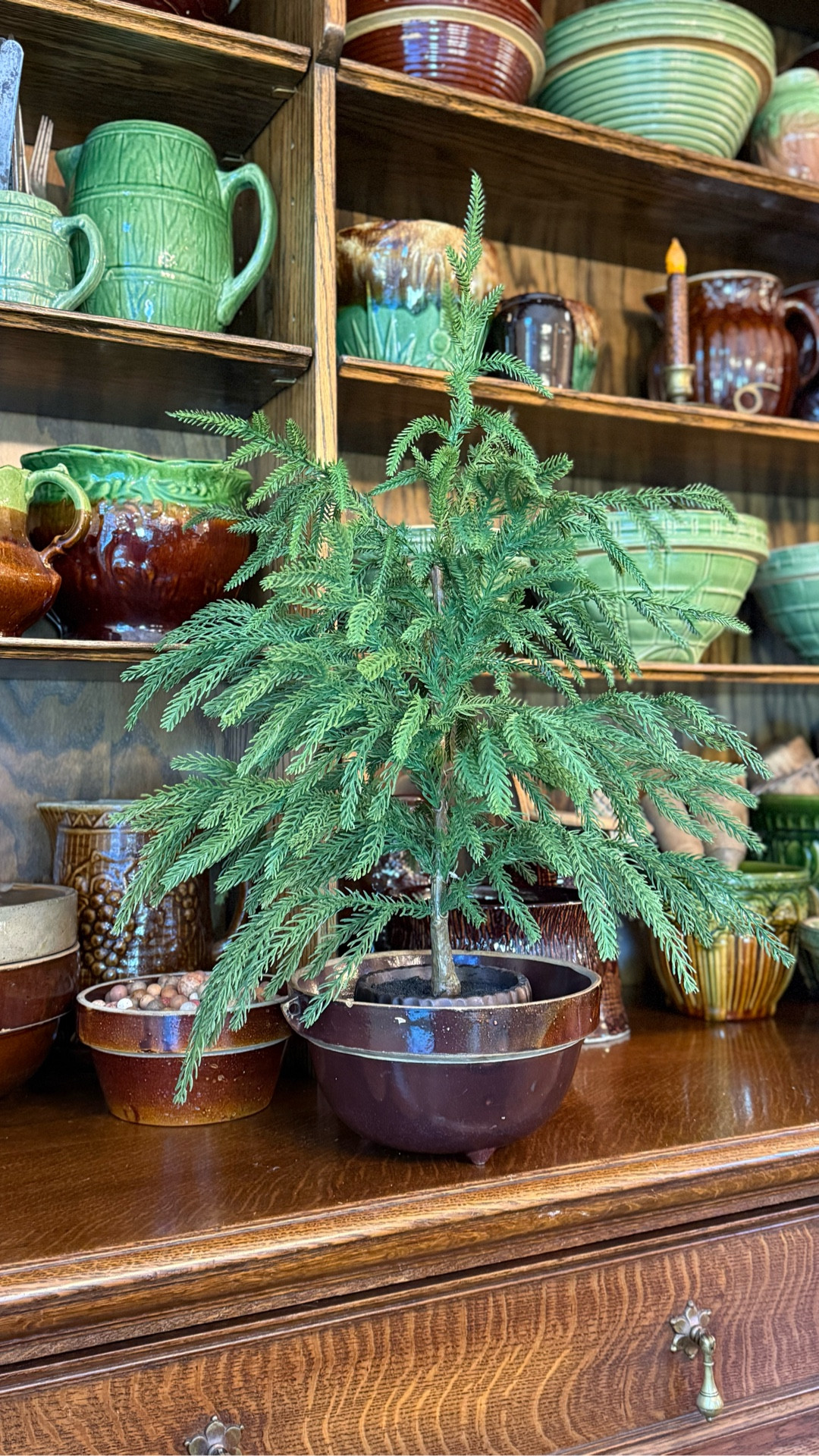 When you see something good, you share it with friends!!  This Real Touch Norfolk pine tree is as cute as a button and looks so real!!  *** I bend the stems down to give it a slight droopy look. 

#LTKFindsUnder50 #LTKSeasonal #LTKHoliday