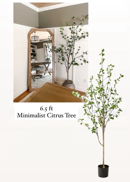 My 6.5 ft Minimalist Citrus tree is on sale this weekend , 30% off with code: USA30

#LTKSaleAlert #LTKHome #LTKSeasonal