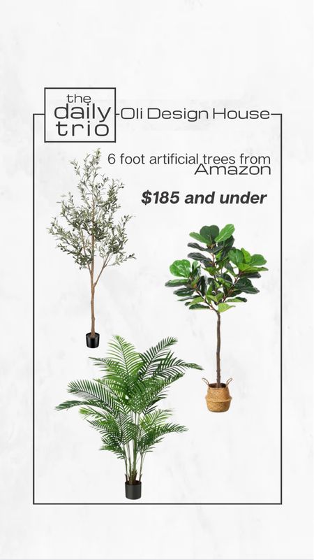 Artificial 6 foot tall trees from Amazon for under $185!!

Faux olive tree, faux ficus tree, faux palm tree, artificial olive tree, artificial focus tree, artificial palm tree, 6 foot olive tree, trees under $200

#LTKhome #LTKFind #LTKstyletip