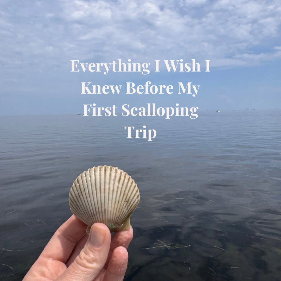 Tagging some essential items I brought on our scalloping trip this year 🤍🌴 ￼