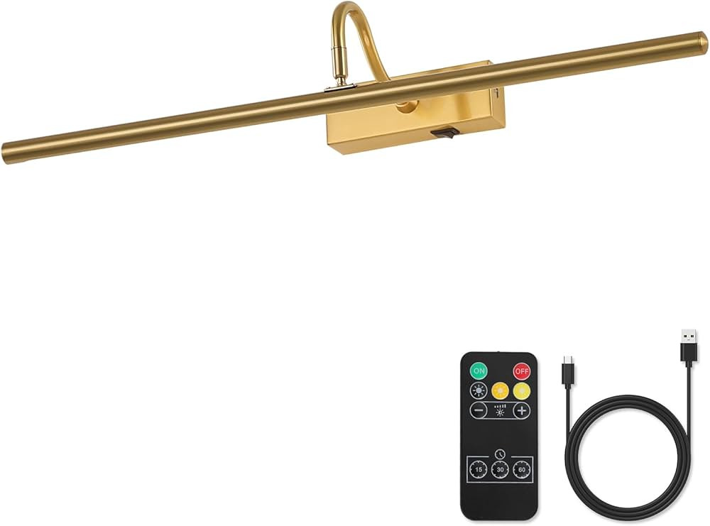 Modern Picture Light,24 inch Battery Operated Picture Lights for Paintings， Bronze Gold Wireles... | Amazon (US)