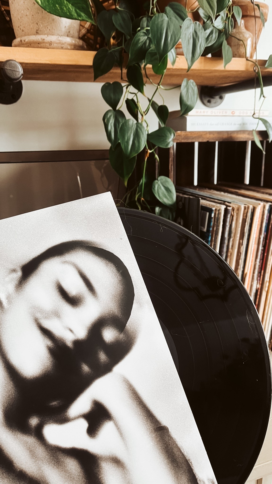 Some songs are just made for vinyl.  Was excited to add this one to my vinyl collection today. 

#LTKHome #LTKdayinmylife #LTKOver40