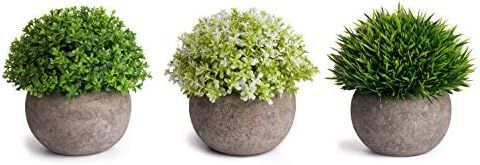 MoonLa Artificial Plants Potted Faux Fake Mini Plant Greenery Green Grass Flower Topiary Shrubs I... | Amazon (US)