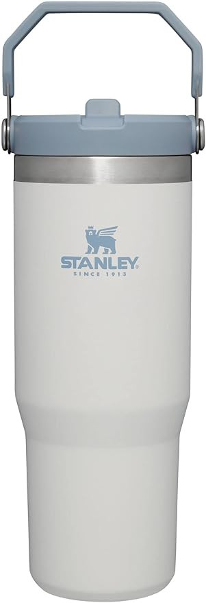 Stanley IceFlow Stainless Steel Tumbler with Straw - Vacuum Insulated Water Bottle for Home, Offi... | Amazon (US)