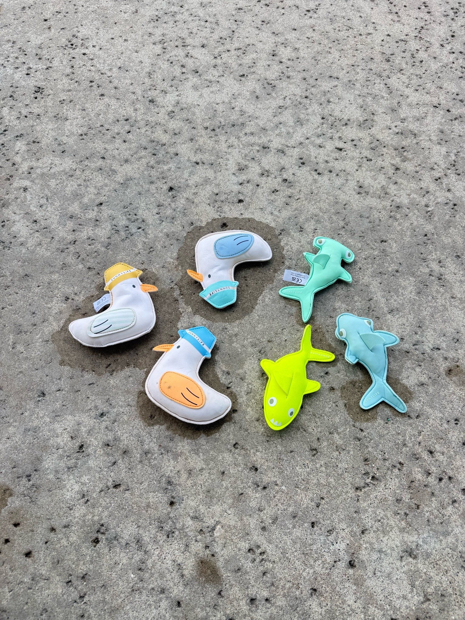 The best pool toys from @SUNNYLiFE

#LTKSeasonal #LTKSwim #LTKKids