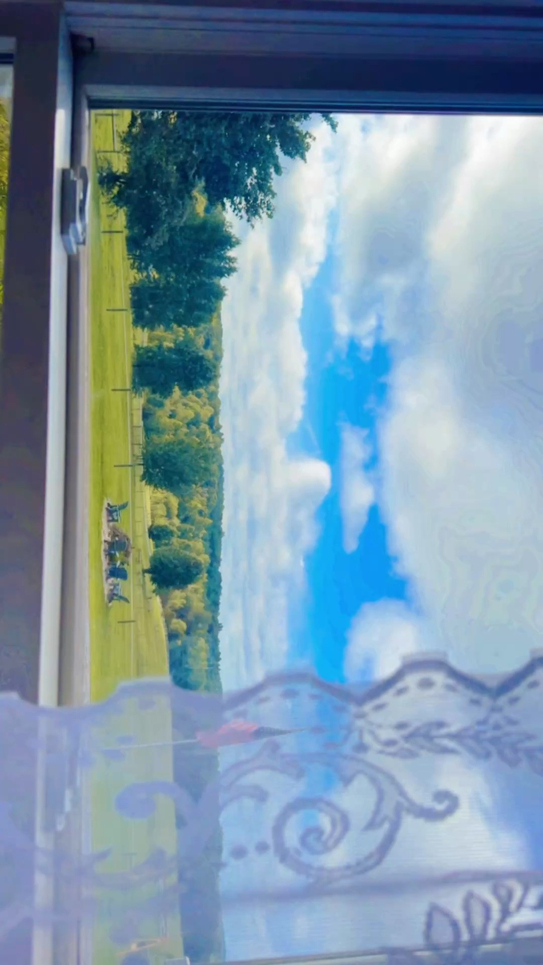 Also, when you look out your dining room 🪑 window 🪟 to all the deer deer 🦌 in your front pastures 🌾 - this place is truly such a dream come to fruition 💭