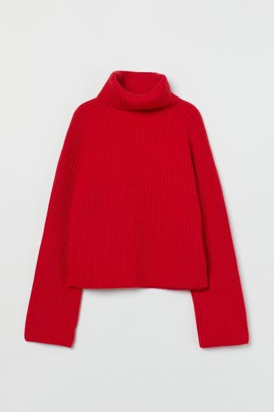 Ribbed Turtleneck Sweater | H&M (US + CA)