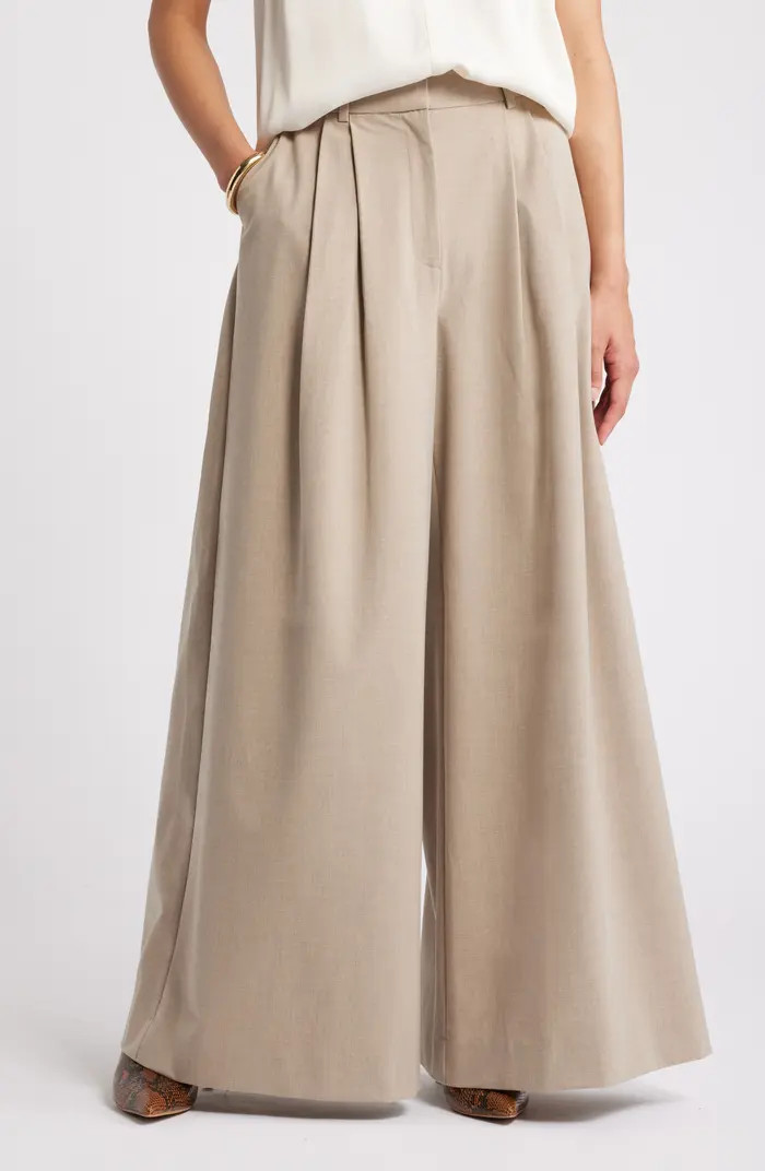 Pleated Wide Leg Pants | Nordstrom