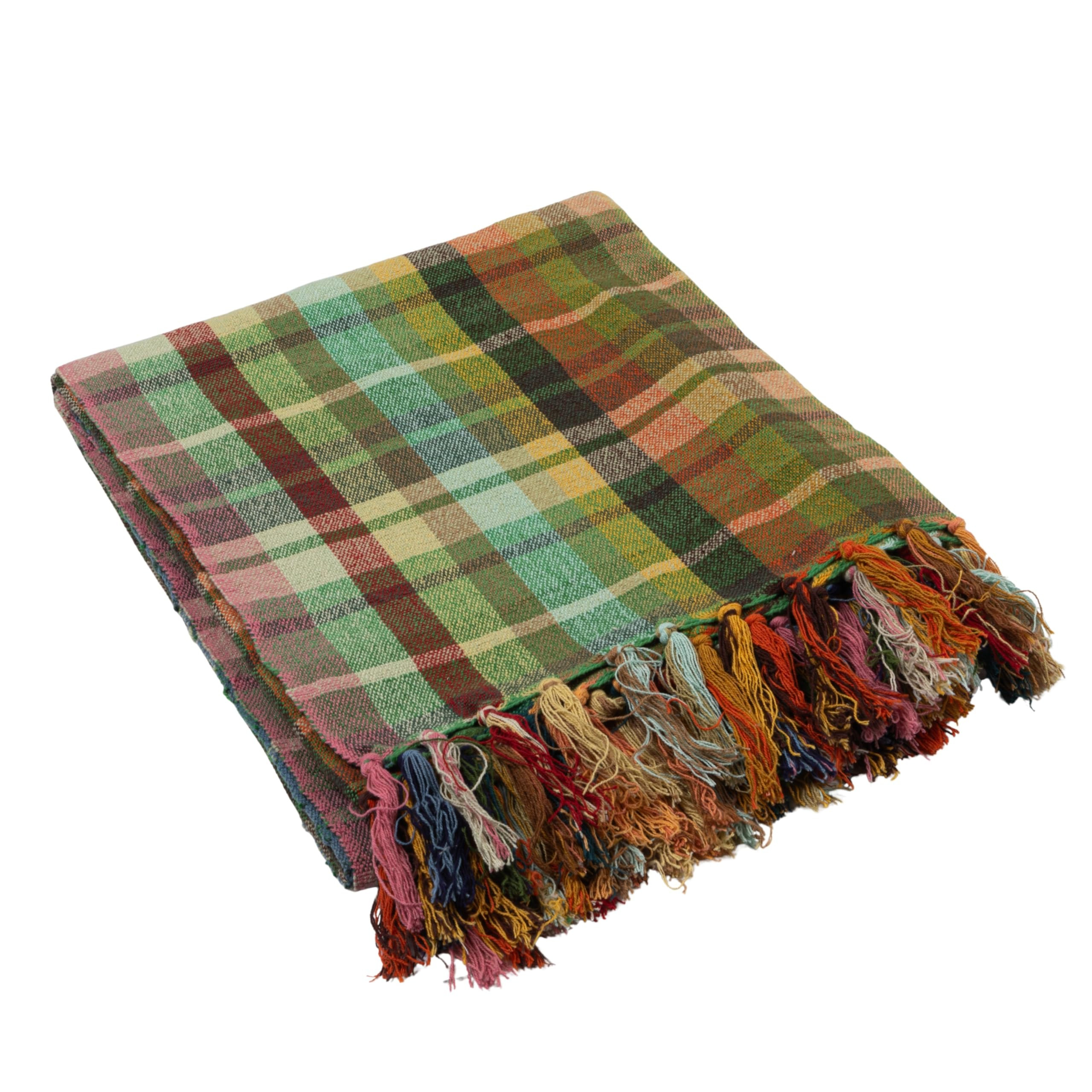 Creative Co-Op Plaid Woven Cotton Throw with Pattern and Fringe, Multicolor | Amazon (US)