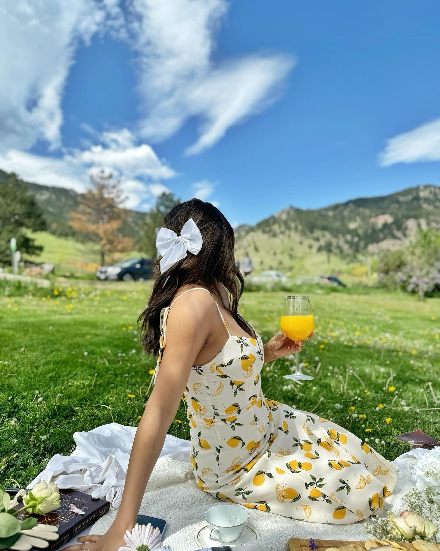 Follow me at @parrotinpink for more creative content✨
Your favorite summer dress

For the love of Bridgerton🎀🩵🌼

#bridgerton #bridgertonsonnetflix #bridgertonseason3 #picnicparty #picnicideas #bridgertonnetflix #summerpicnic #themedevents 

How many of you watvhed Bridgerton Season 3?

#LTKStyleTip #LTKWedding #LTKFindsUnder50