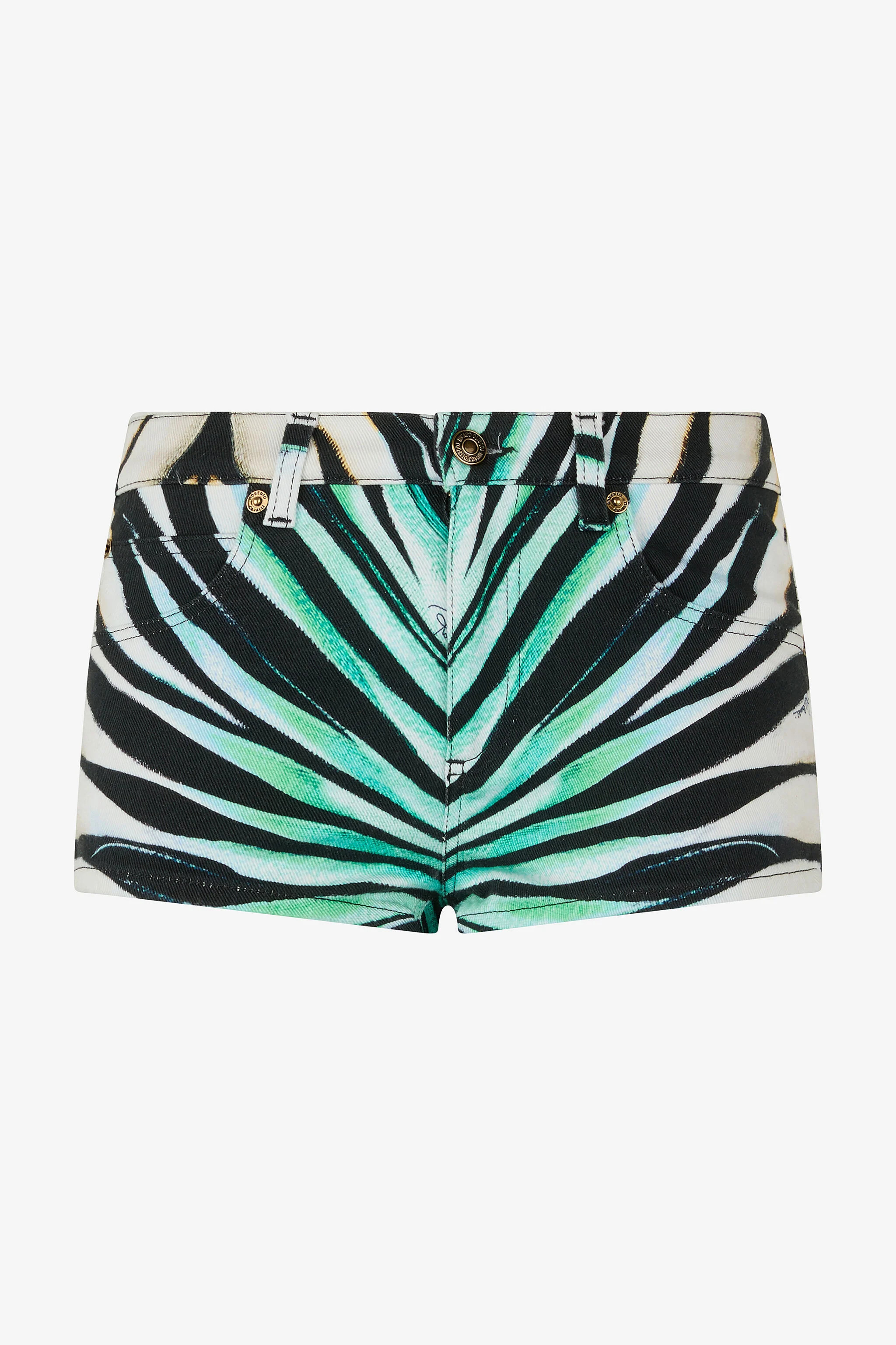 Ray Of Sea Print Shorts | Roberto Cavalli