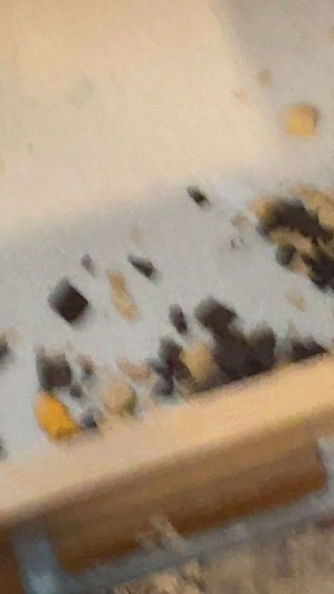 This handheld vacuum comes in handy daily. Especially when my children dumped a full thing of cereal into my bedside table. 