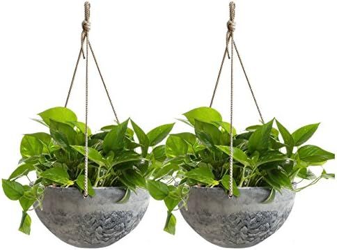 Hanging Planter Flower Plant Pots - 10 Inch Indoor Outdoor Balcony Patio Hanging Basket Set of 2,... | Amazon (US)