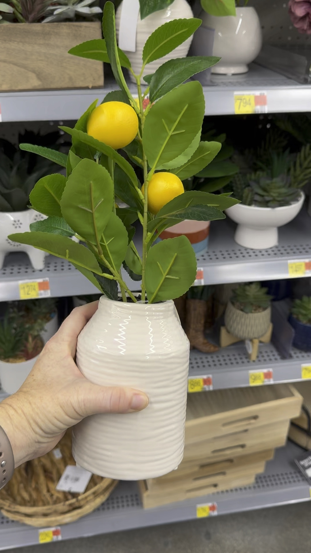 Mainstays 16in Indoor Artificial Lemon Plant in White Color Ceramic Pot

#LTKSeasonal #LTKFindsUnder50 #LTKHome