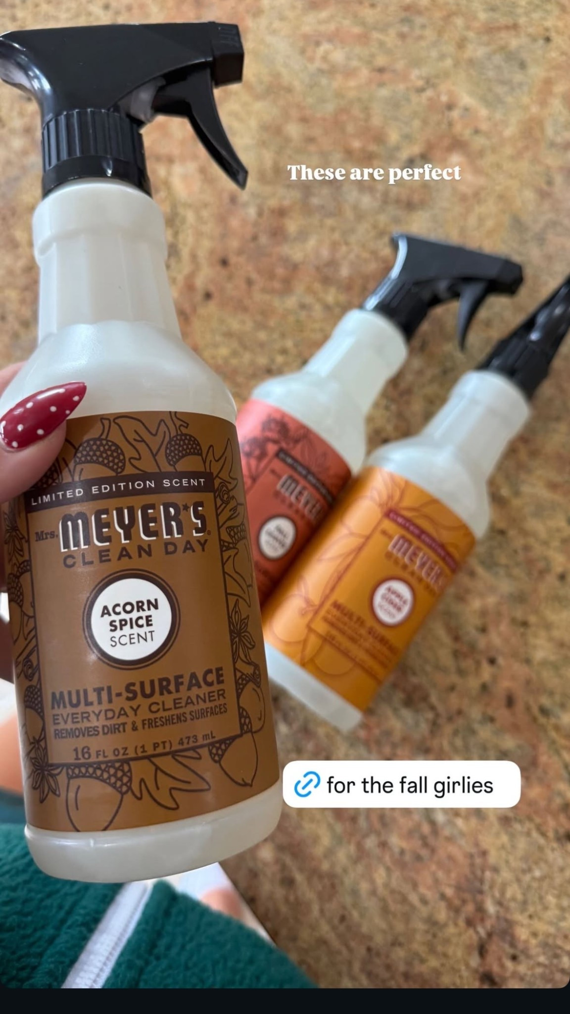 Fall Cleaning Products
#Mrs.Meyers

#LTKFamily #LTKHome #LTKSeasonal