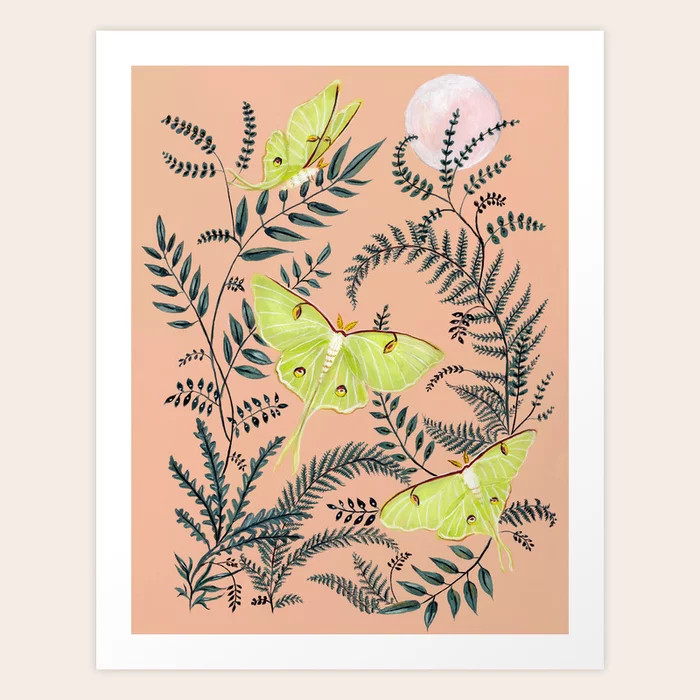 Luna Moths Art Print | Society6