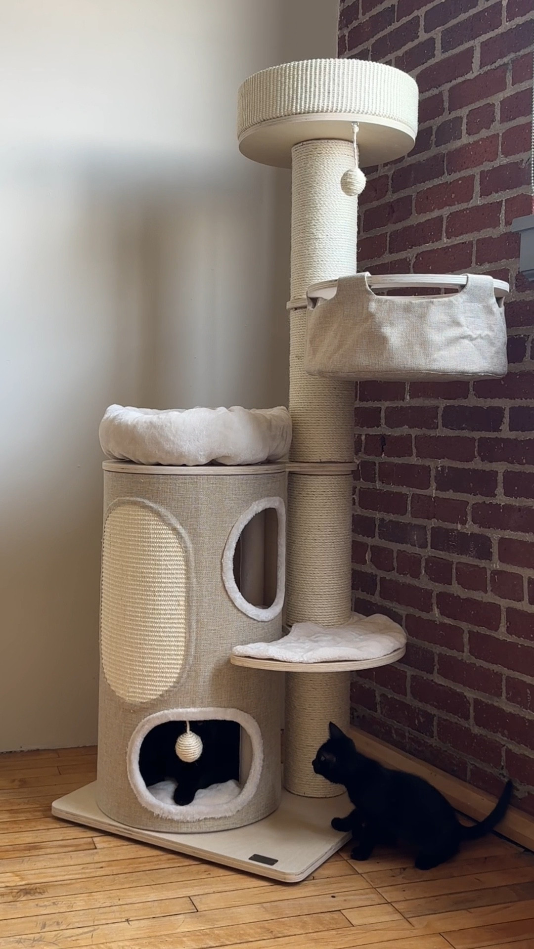managed to find a pretty cute cat tower for the kids 🐈‍⬛🐈‍⬛
