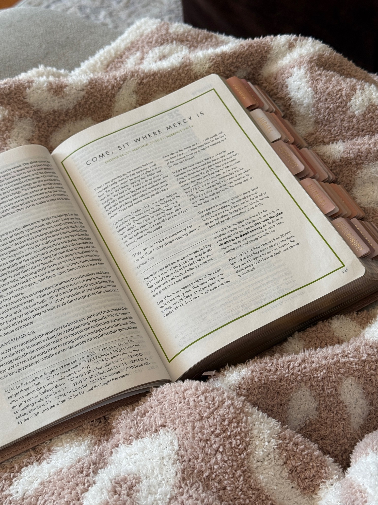 mornings with Him >>>

#LTKmorningroutine #LTKmomlife #LTKselfcare