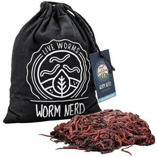 Worm Nerd Live Composting Worm Mix (100 Worms) | The Home Depot