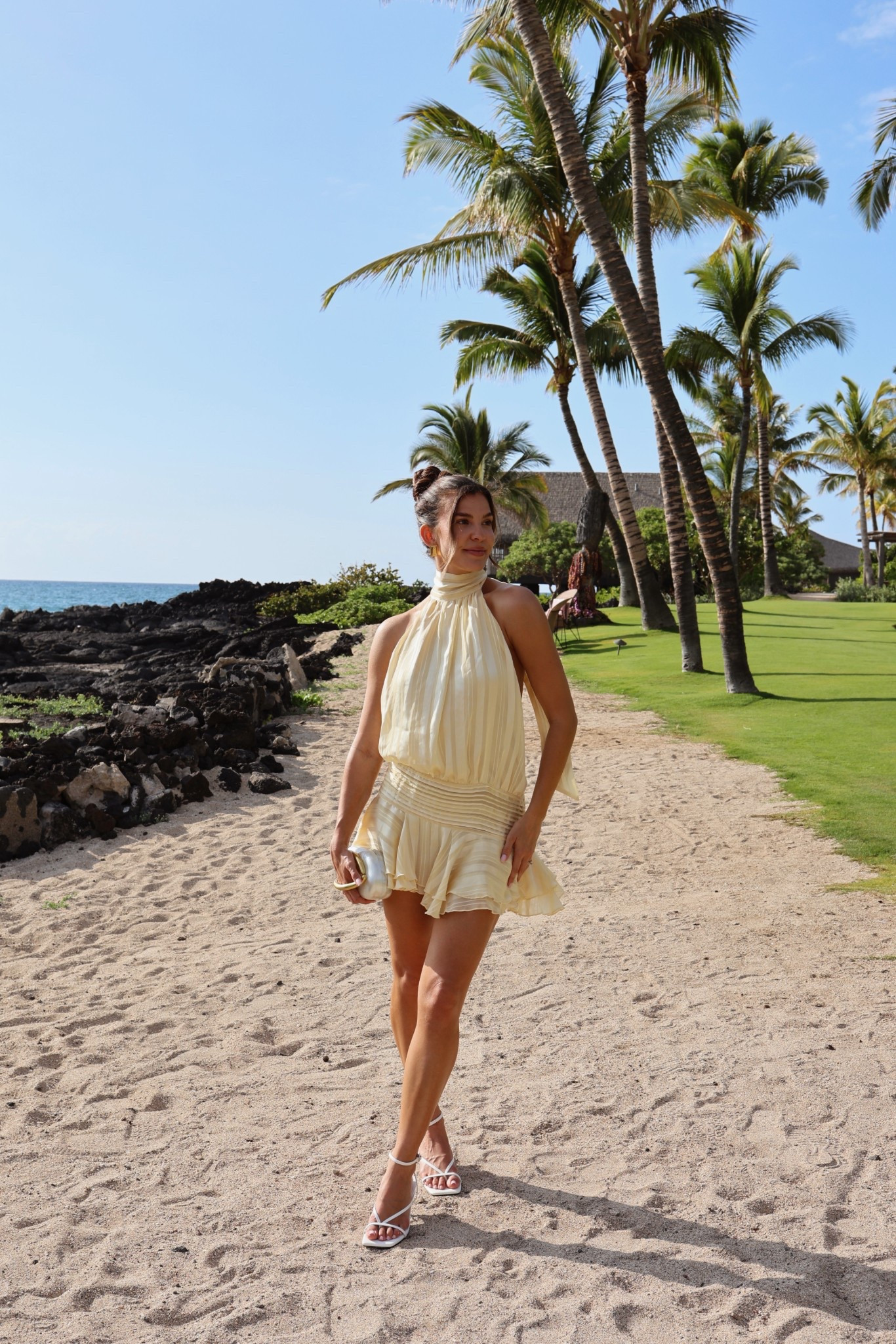 willow chiffon mini dress neckline and a sleeveless cut Sorority Rush Dress | Willow