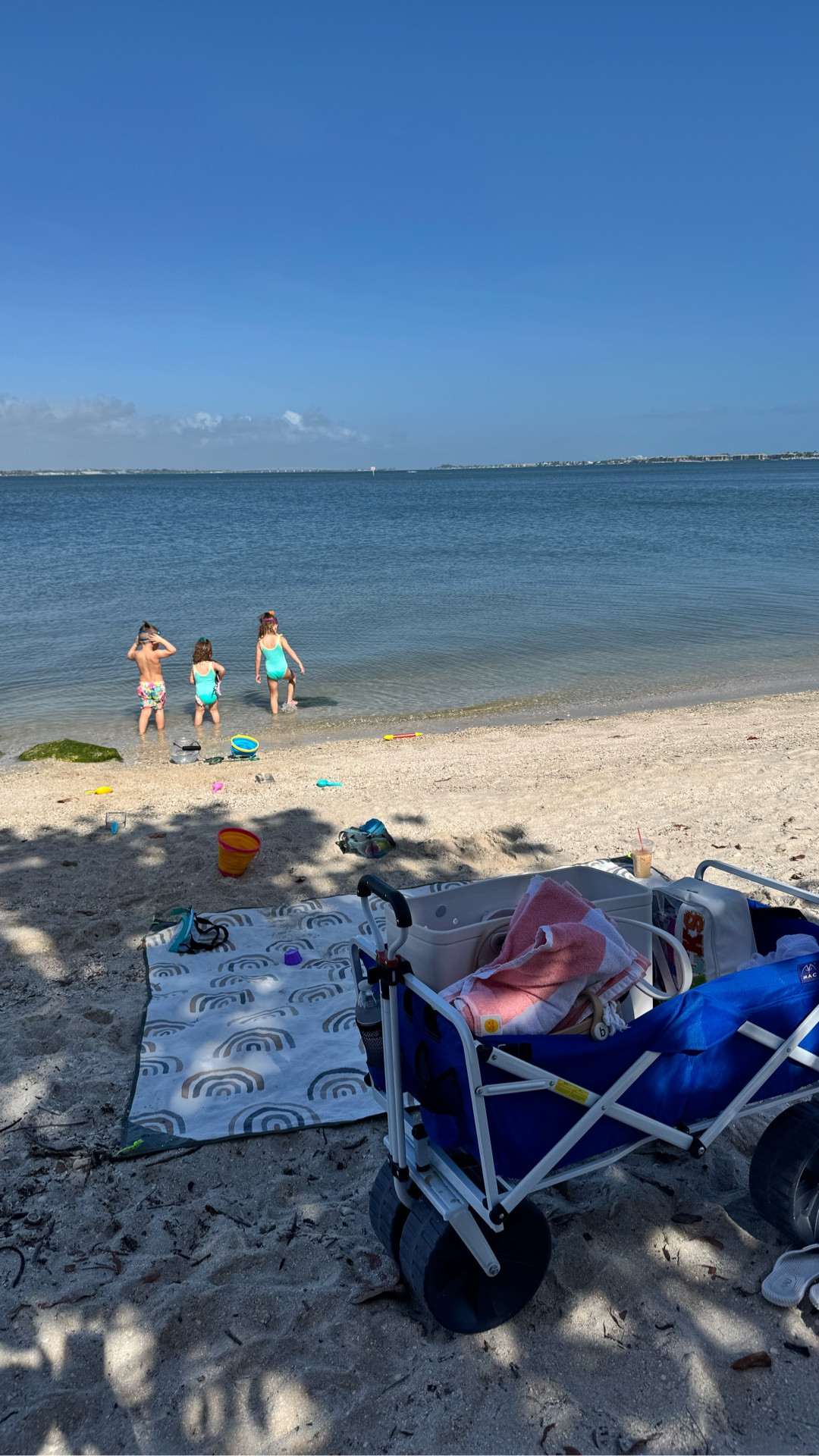 Beach wagon and some more things we like for a simple beach day! 

#LTKSeasonal #LTKKids