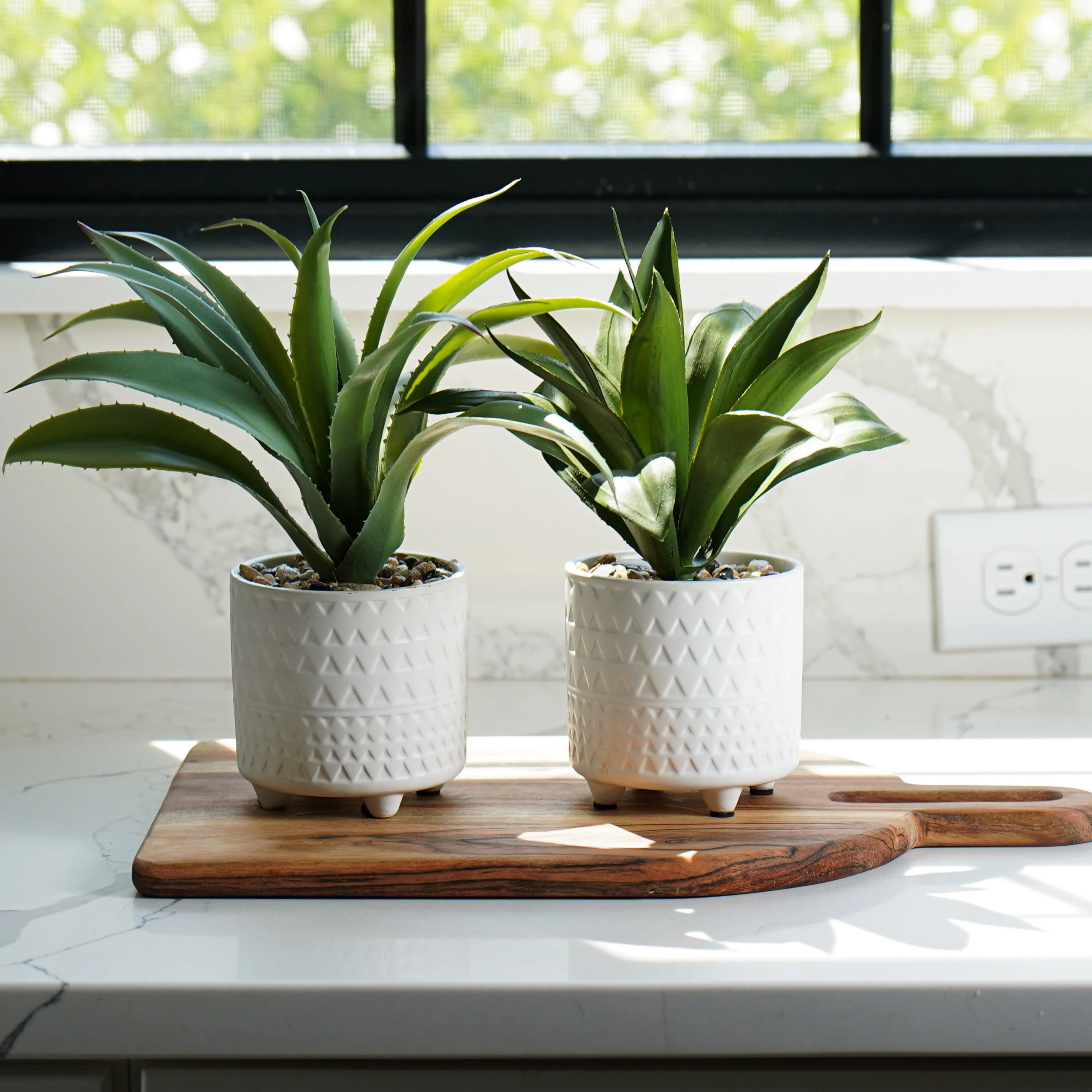 Potted Agave Set | MJHome