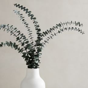 Dried Eucalyptus Bundle - Green | West Elm (US)